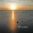  Land for sale in Moyohilir, Lombok, Moyohilir, Sumbawa, Lombok