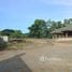  Land for sale in Lamphun, Mueang Nga, Mueang Lamphun, Lamphun