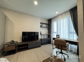 อพาร์ทเม้นท์ สตูดิโอ ให้เช่า ในโครงการ แอสปาย สุขุมวิท-พระราม 4, พระโขนง, คลองเตย, กรุงเทพมหานคร, ไทย