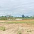  Land for sale in Pran Buri, Prachuap Khiri Khan, Wang Phong, Pran Buri