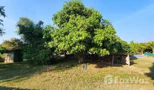 N/A Land for sale in Mae Pong, Chiang Mai 