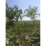  Land for sale in Cachapoal, Libertador General Bernardo Ohiggins, Machali, Cachapoal