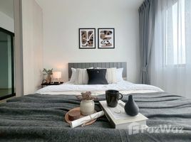 คอนโด 1 ห้องนอน ให้เช่า ในโครงการ ชีวาทัย ฮอลล์มาร์ค ลาดพร้าว - โชคชัย 4, สะพานสอง, วังทองหลาง