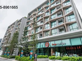 1 Bedroom Apartment for sale at Vtara Sukhumvit 36, Khlong Tan