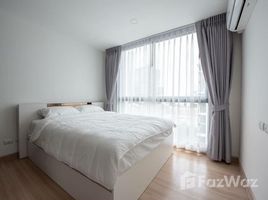 2 спален Кондо в аренду в Chateau In Town Sukhumvit 64/1, Bang Chak, Пхра Кханонг, Бангкок, Таиланд