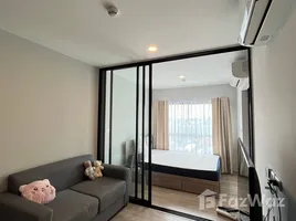 คอนโด 1 ห้องนอน ให้เช่า ในโครงการ พลัม คอนโด สุขุมวิท 97.1, บางจาก