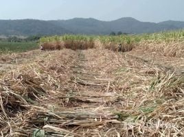  Grundstück zu verkaufen in Khok Charoen, Lop Buri, Khok Charoen, Lop Buri, Thailand