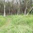  Terrain for sale in Thalang, Phuket, Si Sunthon, Thalang