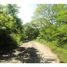  Land for sale in Guanacaste, Santa Cruz, Guanacaste