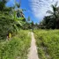  Land for sale in Bo Phut, Surat Thani, Bo Phut, Koh Samui