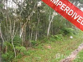  Land for sale in Bertioga, São Paulo, Pesquisar, Bertioga