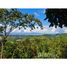  Land for sale in Golfito, Puntarenas, Golfito