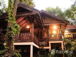 41 Schlafzimmer Hotel / Resort zu verkaufen in Chiang Dao, Chiang Mai, Chiang Dao, Chiang Dao