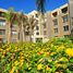 1 Bedroom Apartment for sale at Palm Parks Palm Hills, South Dahshur Link, 6 October City