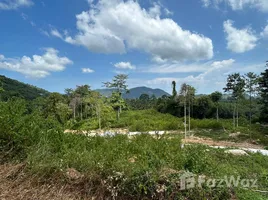  Land for sale in Lipa Noi, Surat Thani, Lipa Noi, Koh Samui