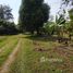  Land for sale in Chiang Rai, Rop Wiang, Mueang Chiang Rai, Chiang Rai