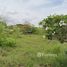  Land for sale in Udon Thani, Nong Bua, Mueang Udon Thani, Udon Thani