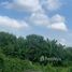  Land for sale in Badung, Bali, Canggu, Badung