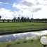 ขายที่ดิน ใน สันกลาง, เชียงใหม่, สันกลาง