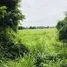  Land for sale in Na Roek, Pattaya, Na Roek, Phanat Nikhom, Chon Buri