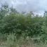  Land for sale in Wang Sai, Nakhon Ratchasima, Wang Sai, Pak Chong