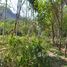  Land for sale in Nong Thale, Mueang Krabi, Nong Thale