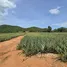  Land for sale in Sam Roi Yot, Hua Hin, Sam Roi Yot