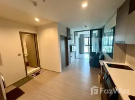 ขายคอนโด 1 ห้องนอน ในโครงการ ไลฟ์ อโศก ไฮป์, มักกะสัน