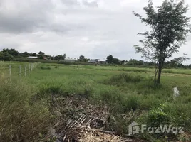  Grundstück zu verkaufen in Buak Khang, Chiang Mai, Buak Khang, San Kamphaeng, Chiang Mai