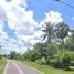 Land for sale in Yasothon, Kut Chiang Mi, Loeng Nok Tha, Yasothon
