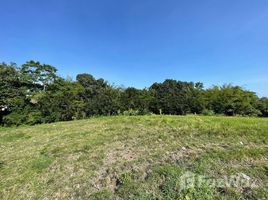 Land for sale in Badung, Bali, Canggu, Badung