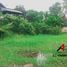 在暹粒市出售的 土地, Svay Dankum, Krong Siem Reap, 暹粒市