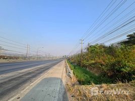  Terreno (Parcela) en venta en Nakhon Ratchasima, Phaya Yen, Pak Chong, Nakhon Ratchasima