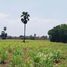  Land for sale in Noen Kham, Chai Nat, Noen Kham, Noen Kham