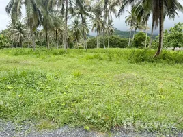 ขายที่ดิน ใน ป่าคลอก, ภูเก็ต, ป่าคลอก, ถลาง, ภูเก็ต