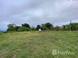  Land for sale in Phuket, Choeng Thale, Thalang, Phuket