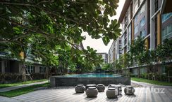 Photos 3 of the Communal Garden Area at Dcondo Campus Resort Bangsaen