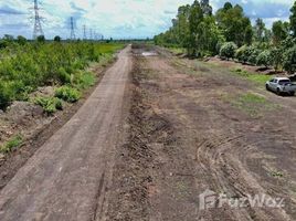  Grundstück zu verkaufen in Mueang Pathum Thani, Pathum Thani, Ban Klang