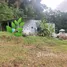  Land for sale in Atlantida, La Ceiba, Atlantida