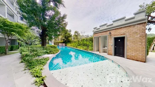 Photo 1 of the Communal Pool at The Title Residencies