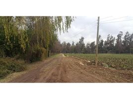  Terreno (Parcela) en venta en Colina, Colina