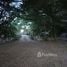  Land for sale in Nakhon Ratchasima, Khanong Phra, Pak Chong, Nakhon Ratchasima