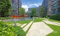 Photos 3 of the Communal Garden Area at Atmoz Ladprao 71
