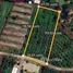  Land for sale in Khok Kloi, Phangnga, Khok Kloi, Takua Thung, Phangnga, Thailand
