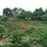  Land for sale in Akwapim South Eastern, Akwapim South, Eastern, Ghana
