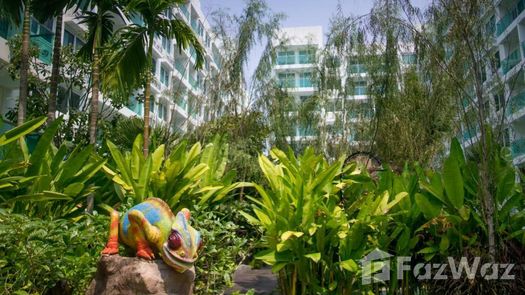 Photo 1 of the Communal Garden Area at Amazon Residence