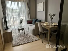 คอนโด สตูดิโอ ให้เช่า ในโครงการ เดอะ เบส ไรส์, วิชิต, เมืองภูเก็ต, ภูเก็ต