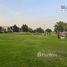  Land for sale at Cavalli Estates, Brookfield, DAMAC Hills (Akoya by DAMAC)