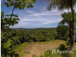 在Nicoya, Guanacaste出售的 土地, Nicoya