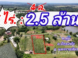  Land for sale in Tum, Nakhon Ratchasima, Tum, Pak Thong Chai